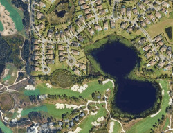 Donald Ross Ct, Tampa FL