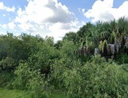 Pre-foreclosure in  Ashland St E Lehigh Acres, FL 33974