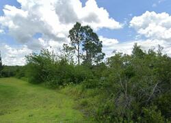 Pre-foreclosure in  Tryon Ct Lehigh Acres, FL 33972