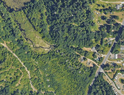 Pre-foreclosure in  Black Lake Blvd SW Olympia, WA 98512