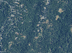 Pre-foreclosure in  Garnet Ct Pollock Pines, CA 95726