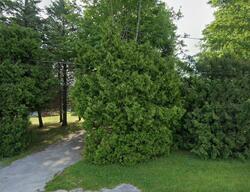 Pre-foreclosure in  Bradner Rd Risingsun, OH 43457