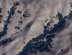  Wildflower Dr, Hollister CA