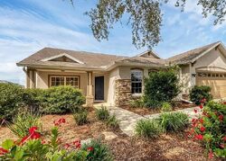 Pre-foreclosure in  Larson Ln Parrish, FL 34219