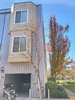  Harriet Ln, West Sacramento CA