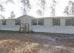  Shaggy Ln, Palatka FL