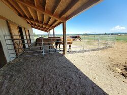 Pre-foreclosure in  Quail Ridge Way Deer Park, WA 99006