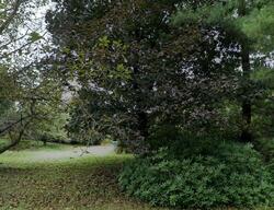 Pre-foreclosure in  TIMBER RD Mechanicsburg, PA 17050