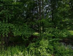 Pre-foreclosure in  Carole Pl Mahopac, NY 10541