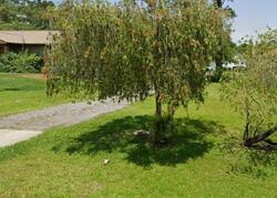 Pre-foreclosure in  Wolf Branch Rd Mount Dora, FL 32757