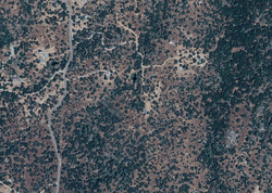 Pre-foreclosure Listing in Hirsch Rd MARIPOSA, CA 95338