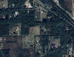 Pre-foreclosure in  Olmstead Rd Pierson, FL 32180
