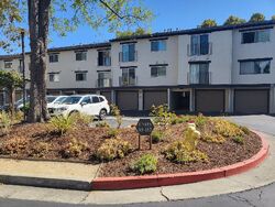  San Antonio Rd , Palo Alto CA