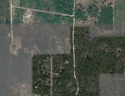 Pre-foreclosure in  61st Pl Wellborn, FL 32094