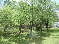  Wentland Dr, Deer Lodge TN