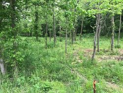  Fairfield Rd, Westmoreland TN