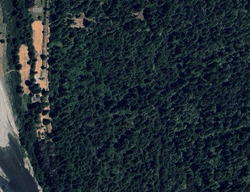 Pre-foreclosure in  Larabee Ranch Rd Redcrest, CA 95569