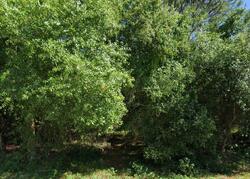 Pre-foreclosure in  Sylvan Cir Lake Placid, FL 33852