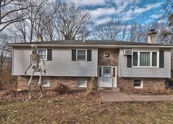 Pre-foreclosure Listing in TANBARK LN TANNERSVILLE, PA 18372
