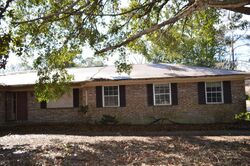 Pre-foreclosure in  MITCHELL AVE Orange Park, FL 32073