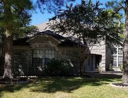 Pre-foreclosure in  PLUMTREE FOREST CIR Houston, TX 77095
