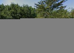  Spring Run Ln, Downingtown PA