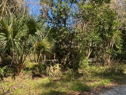 Pre-foreclosure in  NW 7TH AVE Micanopy, FL 32667