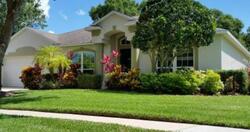  Berry Bramble Dr, Brandon FL