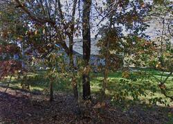  Nunpaug St, Vineyard Haven MA