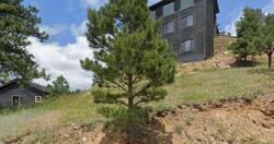 Pre-foreclosure in  Snowdrop Rd Evergreen, CO 80439