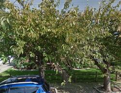 Pre-foreclosure Listing in Madison St ELMONT, NY 11003