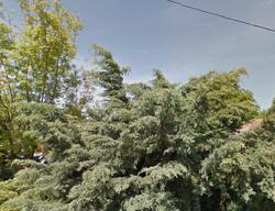  Montclair Ct, Walnut Creek CA