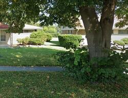 Pre-foreclosure in  Arcadia St Morton Grove, IL 60053