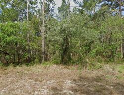Pre-foreclosure Listing in Fringetree Ct HOMOSASSA, FL 34446