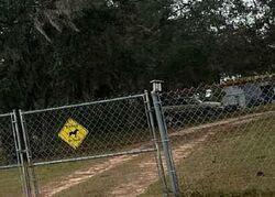  Morgan Horse Way, Lake Wales FL