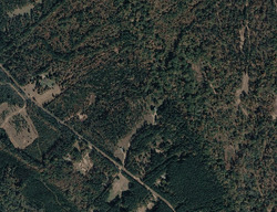  Greer Rd, Hillsboro GA