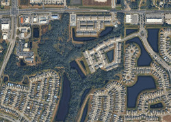 Pre-foreclosure in  Grotto Steam Pl Wimauma, FL 33598