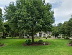 Pre-foreclosure in  W Chase St Hernando, FL 34442
