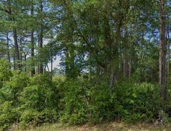 Pre-foreclosure in  Rebecca Ct Homosassa, FL 34446