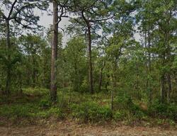 Pre-foreclosure Listing in Sanders Cir HOMOSASSA, FL 34446