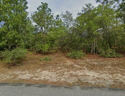 Pre-foreclosure Listing in Black Willow Dr HOMOSASSA, FL 34446
