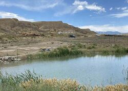 Pre-foreclosure in  Owl Ln Hotchkiss, CO 81419