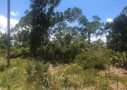 Pre-foreclosure Listing in Excaliber Way Nw LAKE PLACID, FL 33852