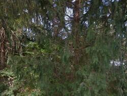 Pre-foreclosure in  Barbertown Point Breeze Rd Flemington, NJ 08822