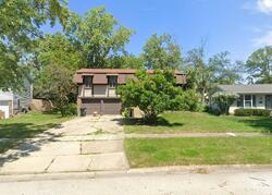 Pre-foreclosure in  S Holly Ln Frankfort, IL 60423
