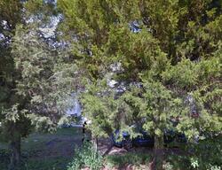 Pre-foreclosure in  Broad Ln Falling Waters, WV 25419