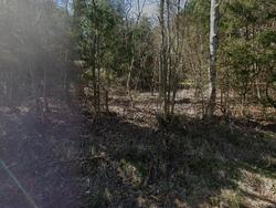 Pre-foreclosure in  Peanut Rd Parrottsville, TN 37843