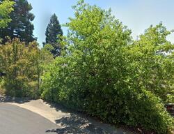Pre-foreclosure in  Allerton Ct Folsom, CA 95630