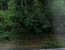  Kent Rd, Kent CT