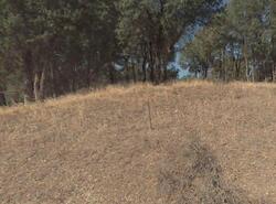 Pre-foreclosure in  Frontier Rd Red Bluff, CA 96080